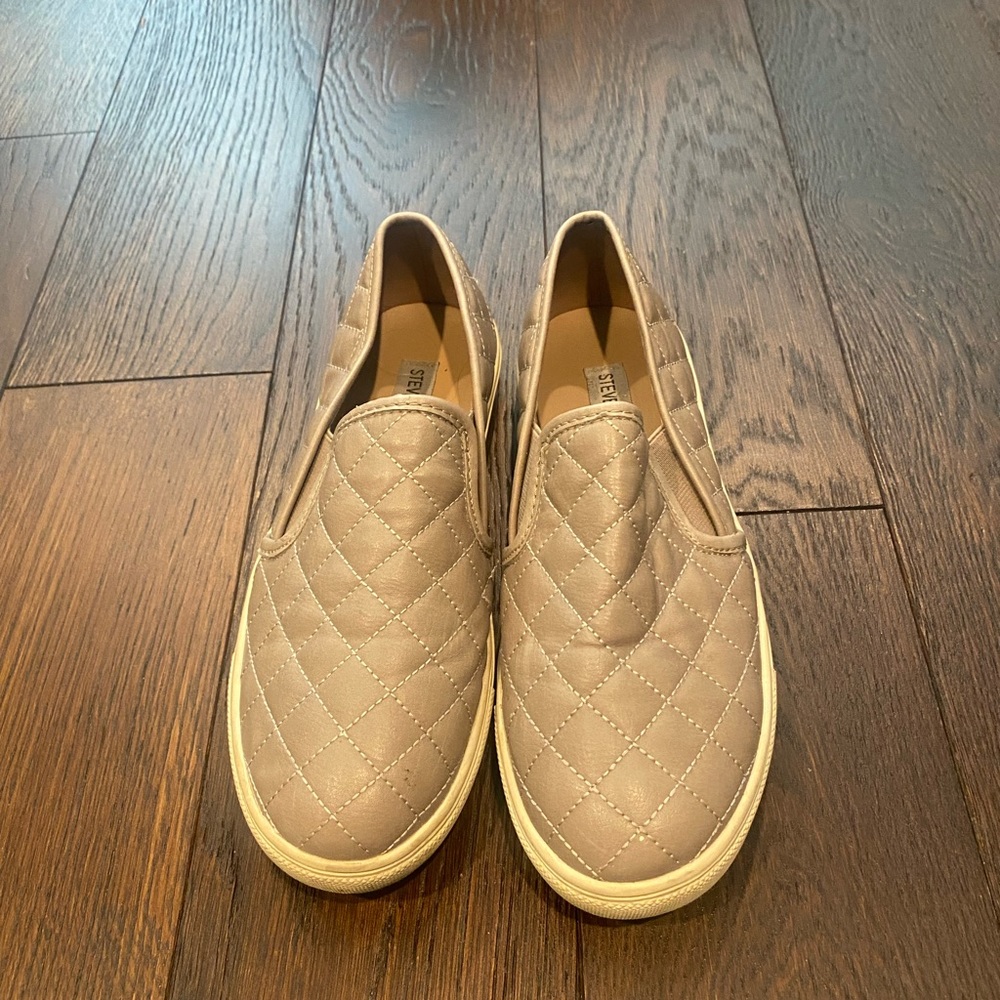 Steve Madden ecentrcq sneaker